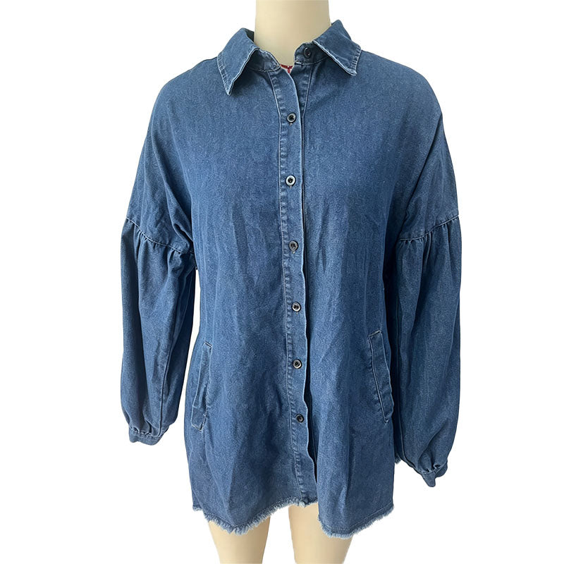 Collared button-front denim dress