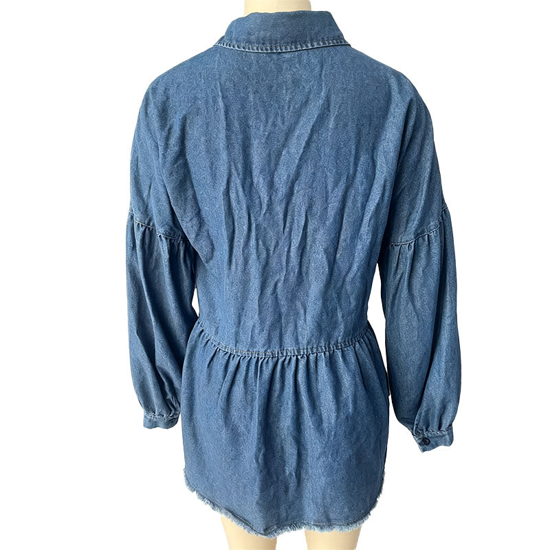 Collared button-front denim dress