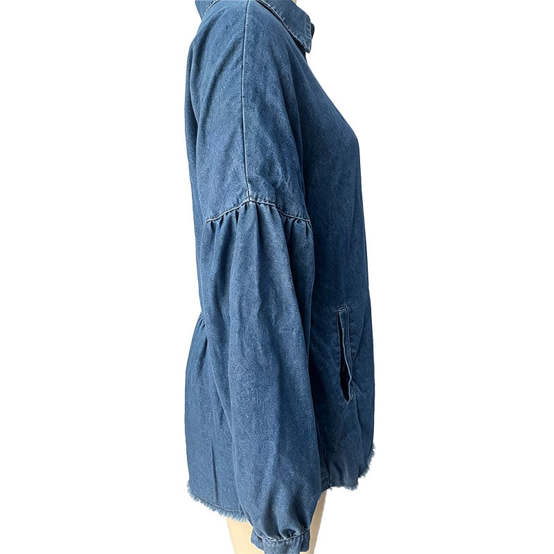 Collared button-front denim dress