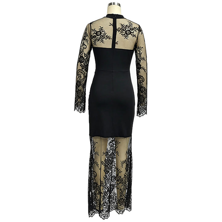 Floral Mesh and Lace Panel Dress